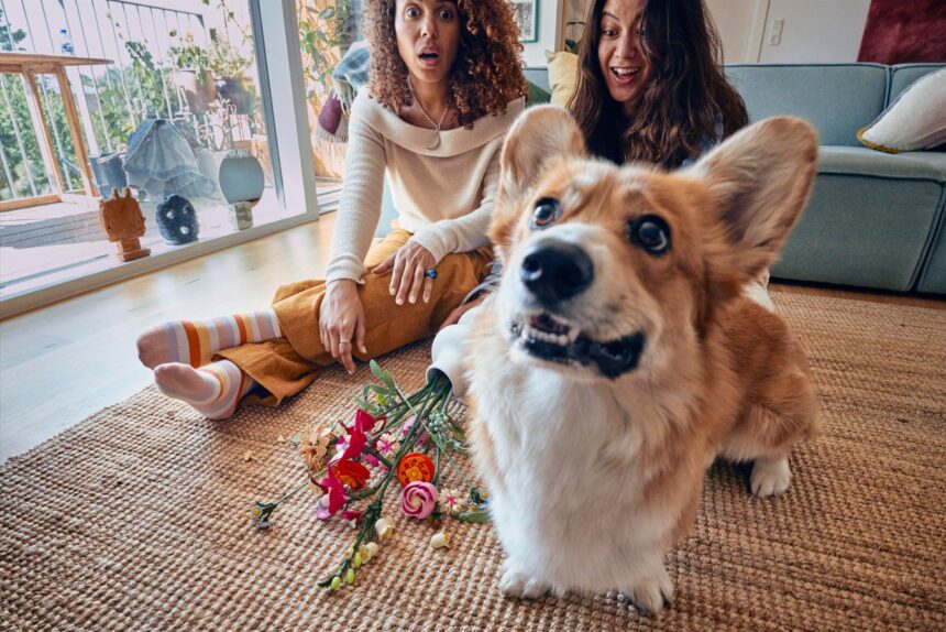 Flori: cadoul ideal cu riscuri reduse și efecte uimitoare – cercetare LEGO de Ziua Îndrăgostiților 1 florile raman cadoul cu risc minim si impact maxim studiu lego de valentines day 69932d7d80a44