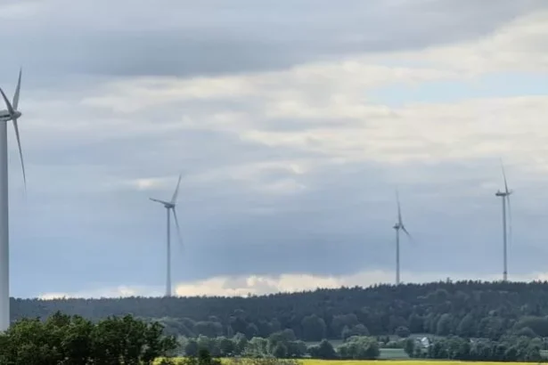 germania productia de energie eoliana a scazut in pofida cresterii instalarilor 6989b01d7d582