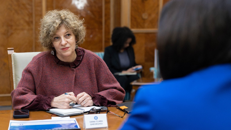 gheorghiu sa iesim din paradigma ca nu ne vindem tara ne o pierdem in fiecare zi cu fiecare ban pe care companiile il pierd 6980700827a2b