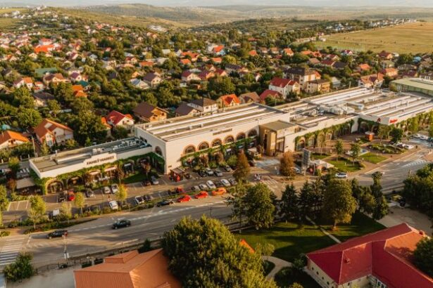 grupul iulius a mentinut cresterea vanzarilor in marile proiecte din timisoara si suceava in pofida unui an marcat de masuri fiscale si consum temperat 699bb616dd168