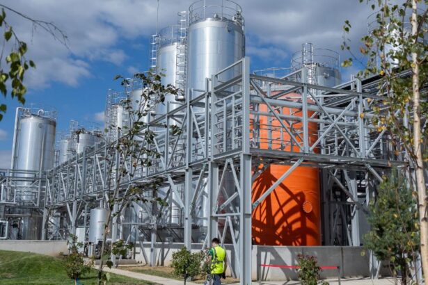 majorare puternica de capital a gigantului american pg in romania a adus peste 180 de milioane de lei la firmele sale din tara 698e372b4fa48