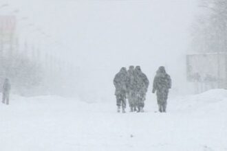 omniasig a avizat in ultimele zile 88 de dosare de dauna din cauza viscolului a ninsorilor abundente si a topirii rapide a zapezii 69a07eeca6e4f