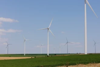 ppc pune o baterie de 60 mwh la parcul eolian salbatica 1 din dobrogea 698c54aaaf4fd