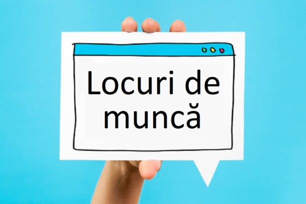 un gigant francez angajeaza masiv in romania scor re cauta 300 de oameni calificati cu o noua conducere 6991c2346d692