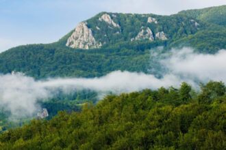 video zacaminte de minerale rare descoperite in apuseni o companie canadiana a gasit uraniu cobalt si nichel 69837a0b6d00b