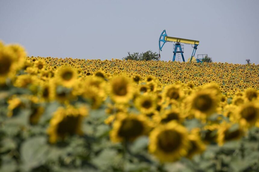 Un nou fond de solidaritate susținut de impozitele pe umerii companiilor petroliere – propunerea recentă a Executivului 1 fond de solidaritate alimentat din taxe noi puse companiilor petroliere ultima idee a guvernului 69cac96e544cf