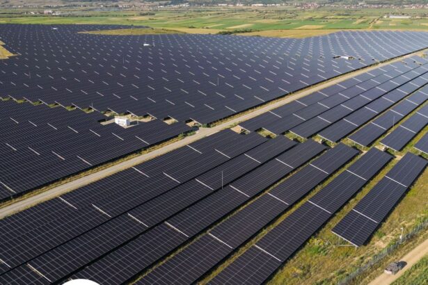 israelienii de la econergy iau credit de 31 mil euro pentru un nou parc fotovoltaic din romania 60 mw in dobrogea 69b7da8fe4e7c