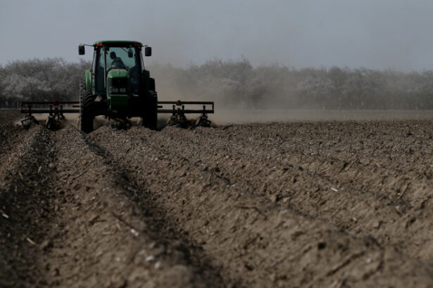 motorina mai ieftina pentru fermieri ministrul agriculturii ar putea costa intre 4 si 45 lei pe litru 69b1e1f7ceb5d