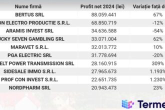 topul companiilor din maramures de la italsofa unio si moeller la aramis universal alloy si eaton 69bd51c4abba1