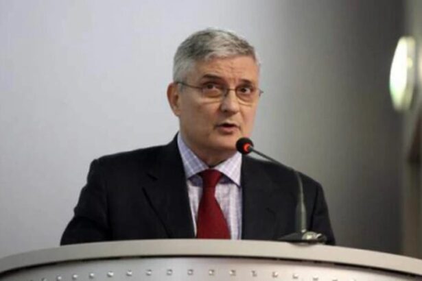 daniel daianu presedintele consiliului fiscal daca va persista criza politica pietele financiare vor reactiona combinatia intre socul extern si criza politica este foarte toxica 69e609f9421d0