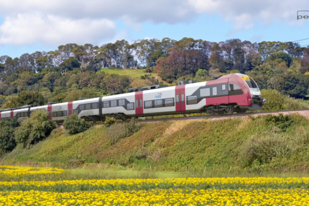 video ministrul transporturilor despre trenurile pesa nu accept sa se decoloreze in triajul garii obor caut metode sa le dam drumul 69f0e398c5f11