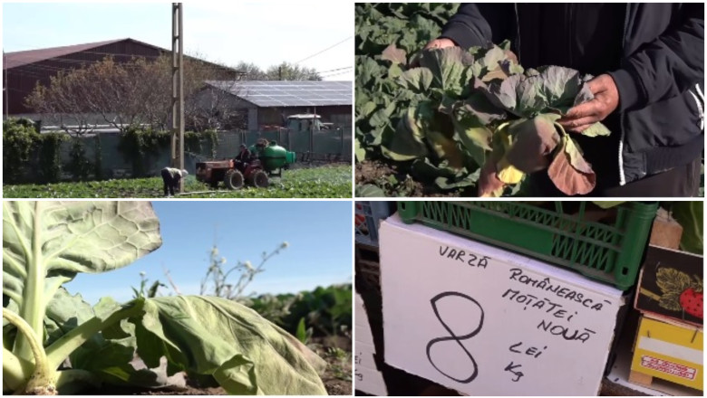 video varza de primavara compromisa de vreme cum arata acum culturile din dolj ramanem iar cu ea pe camp 69eee2517d577