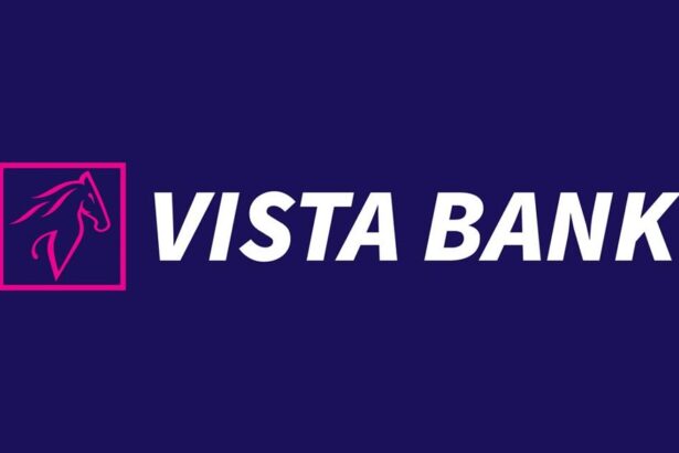 vista bank debuteaza la bursa de valori bucuresti emisiune de obligatiuni in valoare de 17 milioane de euro 69e8a3a7d95bb