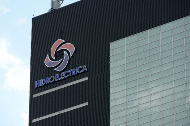 actionarii hidroelectrica vor suspendarea contractului presedintelui consiliului de supraveghere silviu avram e inculpat pentru mita 69fdd5b5b1577