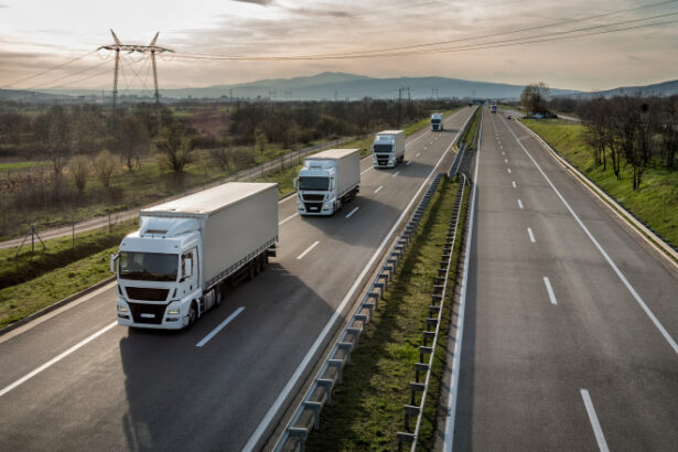 am intrat in camera ilegalitatilor radu miruta spune ca a descoperit mii de camioane care transporta mai multa marfa decat in acte 69f8e1b660362