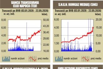 bvb tranzactii de 110 milioane lei sub media zilnica a anului 6a1367551f620