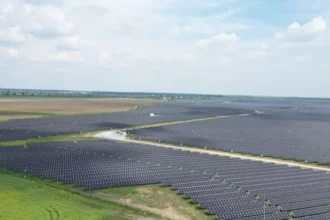 dri parcul solar vacaresti primeste licenta portofoliul dri din romania creste la 299mw 6a14479fc93cf