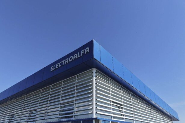 electro alfa international raporteaza venituri in crestere cu 12 pana la 135 milioane lei 6a187c187f71d