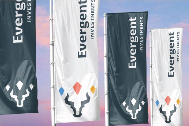 evergent investments raporteaza un rezultat net de 186 8 milioane de lei in t1 2026 6a10c4542e27f