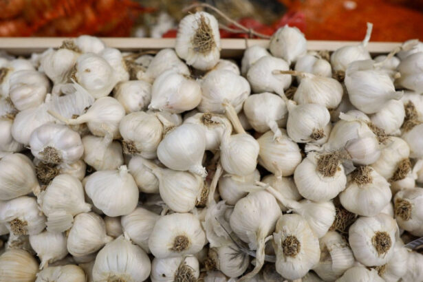 guvernul a aprobat ajutorul pentru cultivatorii de usturoi in 2026 fermierii pot primi pana la 3 000 de euro pe hectar 6a0f2a5ac0bad