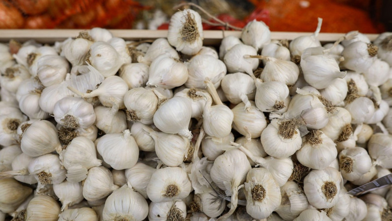 guvernul a aprobat ajutorul pentru cultivatorii de usturoi in 2026 fermierii pot primi pana la 3 000 de euro pe hectar 6a0f2a5ac0bad