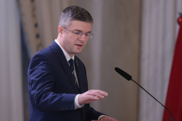 irineu darau avertizeaza asupra folosirii haotice a ai in administratie vom digitaliza pur si simplu birocratia 6a02fb42a0773