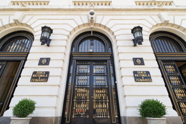 rezervele valutare ale bnr au scazut cu peste doua miliarde de euro intr o luna pe ce s au cheltuit banii 69f8cc9b1b28a