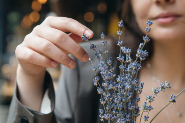 video afaceri profitabile cu miros si aroma de lavanda cum a reusit planta decorativa sa devina astazi ingredient in prajituri si cosmetice 6a00a9f1de755