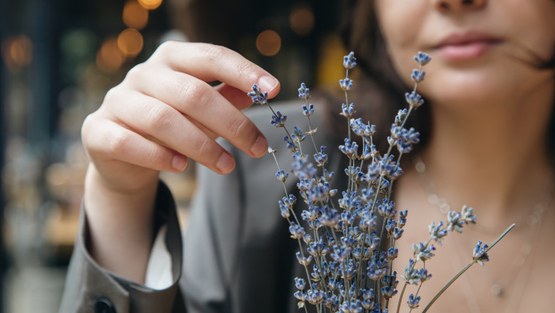 Afaceri florale: Cum lavanda a transformat aroma în profit și a devenit vedeta dulciurilor și a cosmeticelor 1 video afaceri profitabile cu miros si aroma de lavanda cum a reusit planta decorativa sa devina astazi ingredient in prajituri si cosmetice 6a00a9f1de755