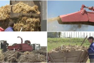 video comuna care transforma resturile vegetale din gospodarii in ingrasamant natural localnicii fac rand la utilajul cumparat de primarie 69f9a438148a5