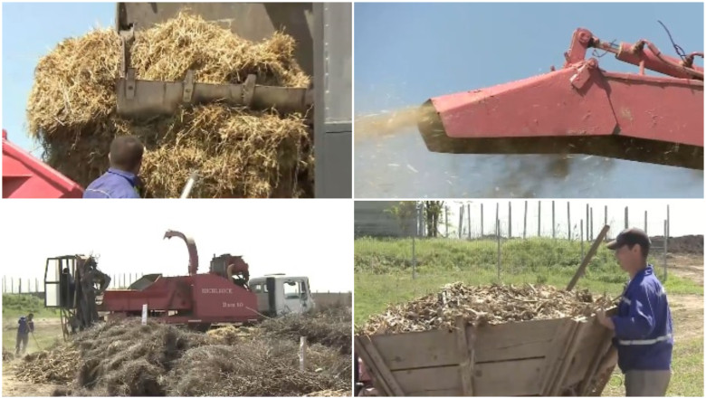 video comuna care transforma resturile vegetale din gospodarii in ingrasamant natural localnicii fac rand la utilajul cumparat de primarie 69f9a438148a5
