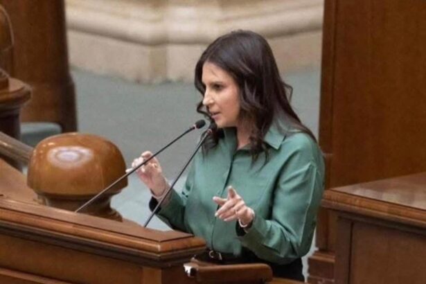 plenul senatului a adoptat proiectul de lege pentru infiintarea conturilor individuale de investitii pentru viitor 6a43608a892f7