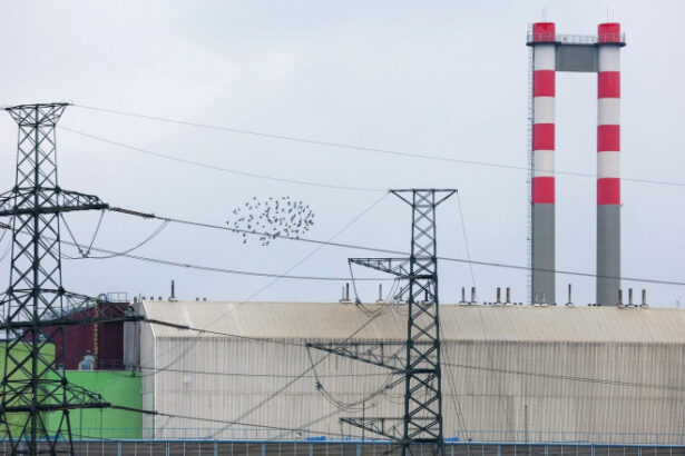 ungaria reduce productia de energie la centrala nucleara paks dupa ce temperatura dunarii a atins un prag critic 6a409f49cfb94