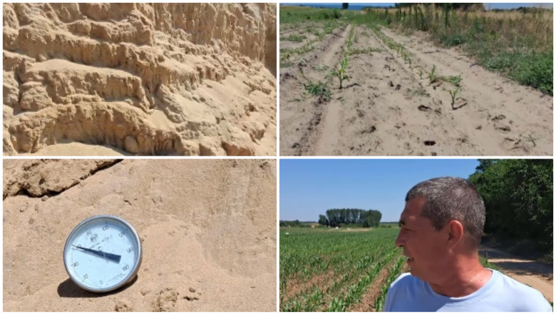 Arșița devastează „Sahara Olteniei”: culturi întregi amenințate de caniculă, iar fermierii spun că este dezastru 1 video arsita face prapad in sahara olteniei culturi intregi in pericol din cauza temperaturilor extreme e dezastru 6a44c05199357